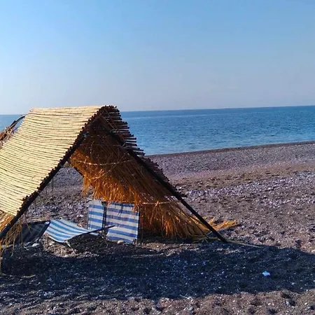 Beachfront Socrates