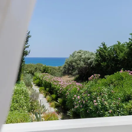 Beachfront Socrates Gennadi