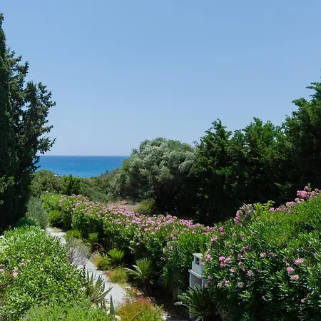 Beachfront Socrates Дом отдыха Геннади